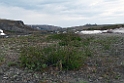 Nome Council road.20120610_1117