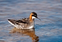 Odinshane.20120611_1314