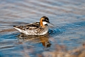 Odinshane.20120611_1315