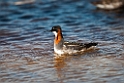 Odinshane.20120611_1321