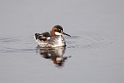 Odinshane.20120615_2409