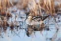 Odinshane.20120615_2423