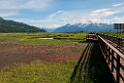 Potter Marsh.20120630_5090
