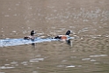 Strømand.20120608_0881
