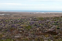 Teller road.20120610_1034