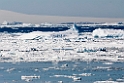 Antarctic Sound.20081117_4931