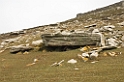 Saunders.20081108_3265