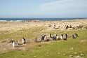 Saunders.20081108_3270