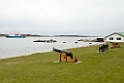 Stanley.20081108_3283