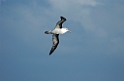 DSCN0236a