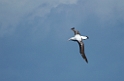 DSCN0236b