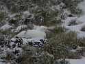 DSCN0265