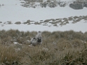 DSCN0268