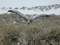 DSCN0270