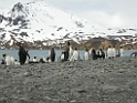 DSCN0283