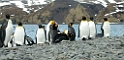 DSCN0284_1