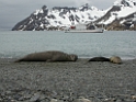 DSCN0286