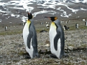 DSCN0299