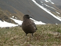 DSCN0318