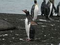 DSCN0362