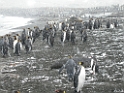 DSCN0363