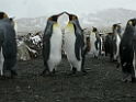 DSCN0375