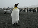 DSCN0385