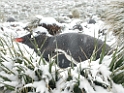 DSCN0401