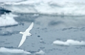 DSCN0459a