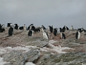 DSCN0507