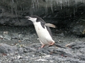 DSCN0550