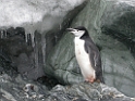 DSCN0552
