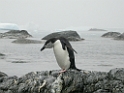 DSCN0553