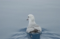 DSCN0559
