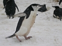DSCN0565