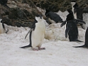 DSCN0576