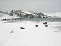 DSCN0596