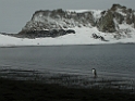 DSCN0613