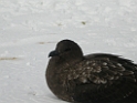 DSCN0618