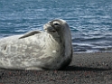 DSCN0647