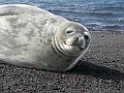 DSCN0650