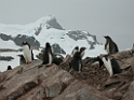 DSCN0676