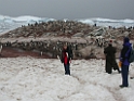 DSCN0679