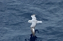 DSCN0783a