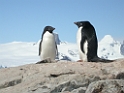 DSCN0790