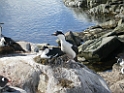 DSCN0826