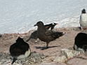 DSCN0841