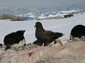 DSCN0842