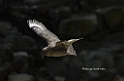 dscn0153a