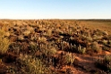 Birdsville Track.20101102_3015
